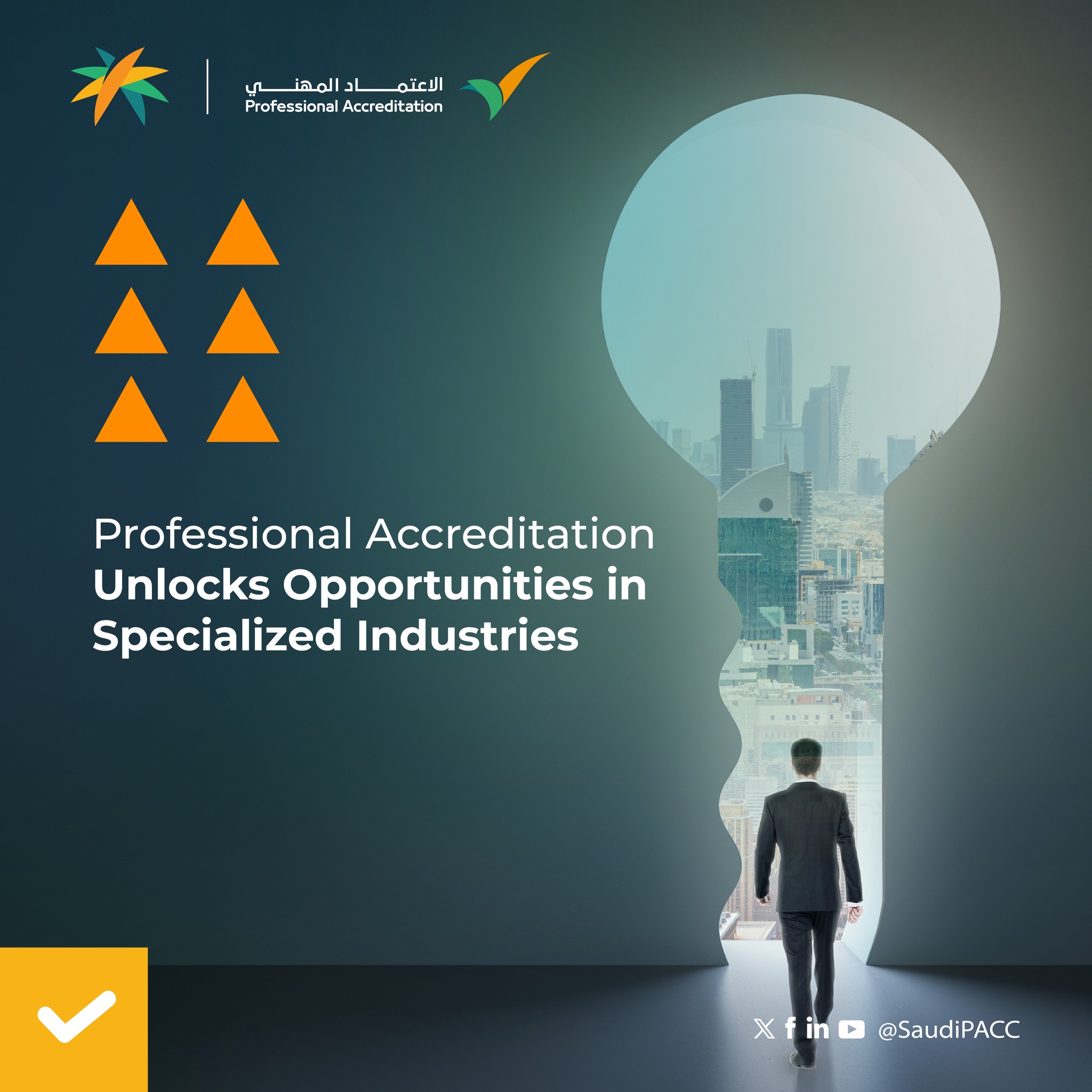 Professional Accreditation Program in Saudi Arabia