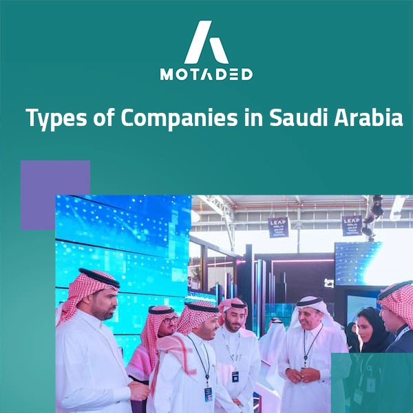 Types of Companies in Saudi Arabia: Guidance for Experts